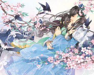 禁止未满十八岁观看的免费软件